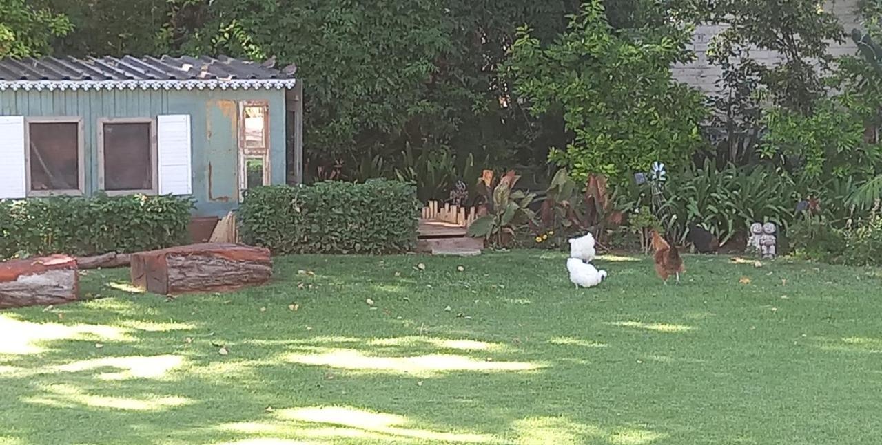 La Pension Guest House オーツホーン エクステリア 写真